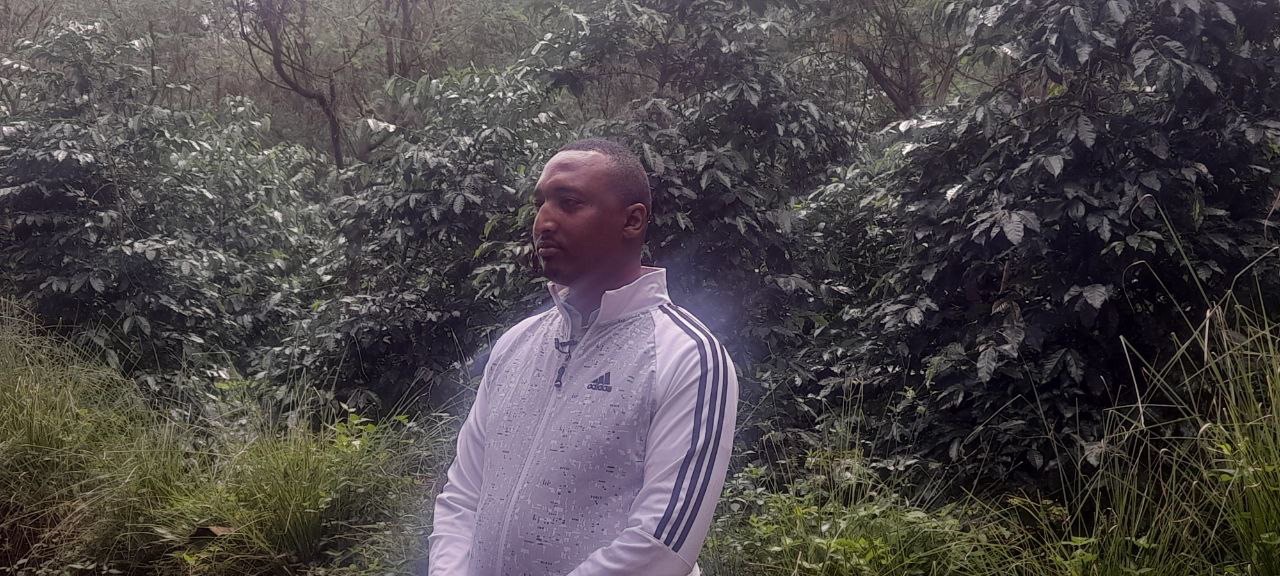 በኢሉአባቦር ዞን ከ51 ሺህ ቶን በላይ ቡና ለማዕከላዊ ገበያ መቅረቡ ተገለፀ!